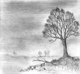 Klemz(Knop): La soledad del árbol en paisaje árido {La solitude de l'arbre dans paysage aride}
